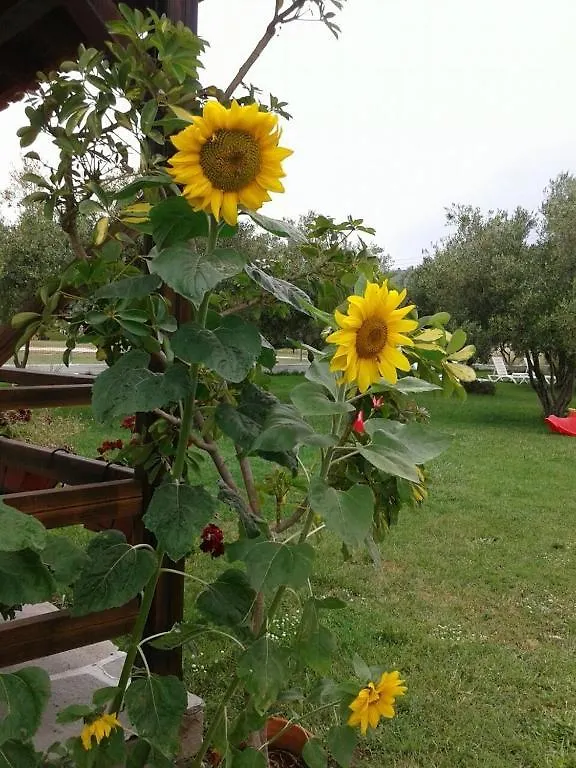 Apartment Villa Irida Sarti